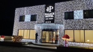 Palace Hotel Due Ponti - Siena